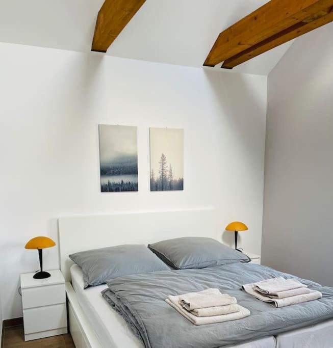 Traumvilla Im Herzen Hainichens Luaran gambar